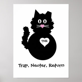 TNR - Fuzzy Kitty Poster