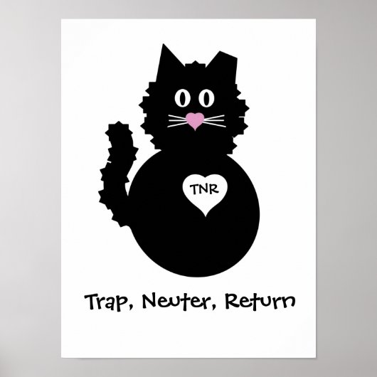 TNR - Fuzzy Kitty Poster (Vorne)