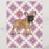 To sell Frenchies Puppy Flyer (Hinten)