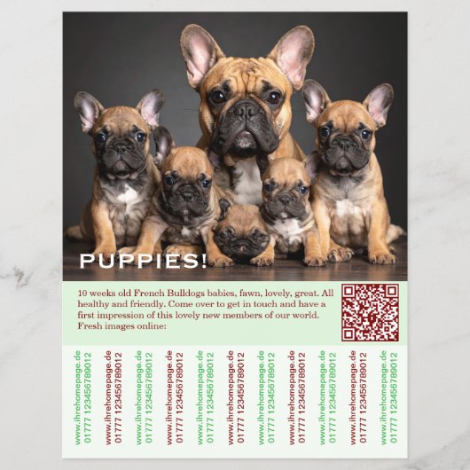 To sell Frenchies Puppy Flyer (Vorne)