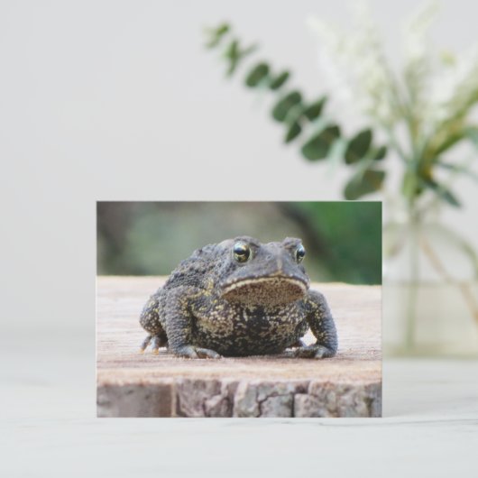 Toad auf einem Baumstumpf Postkarte (Stehend Vorderseite)