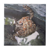 Toad Fliese (Vorderseite)