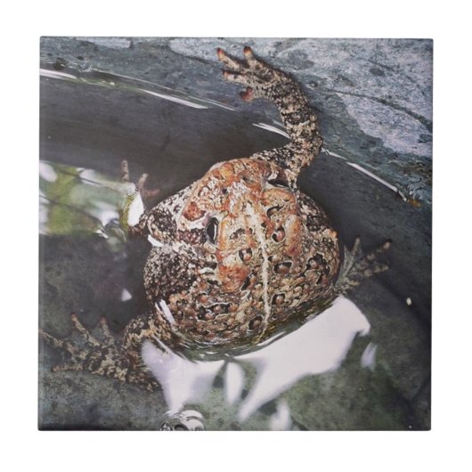 Toad Fliese (Vorderseite)