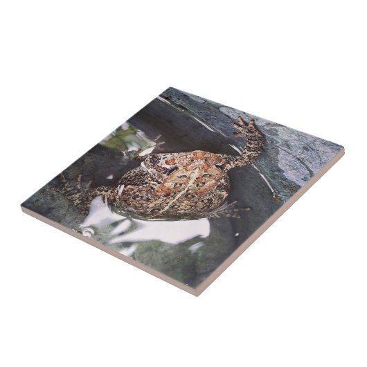 Toad Fliese (Seite)