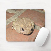 Toad Frog Mousepad (Mit Mouse)