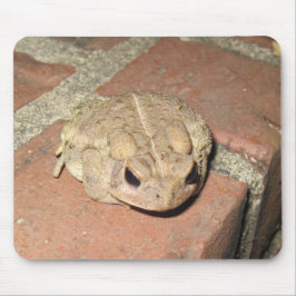 Toad Frog Mousepad
