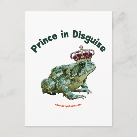 Toad Frog Prince in versteckter Form Postkarte (Vorderseite)