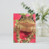Toad Frosch stehend gegen Bougainvillea hinten Postkarte (Stehend Vorderseite)