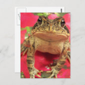 Toad Frosch stehend gegen Bougainvillea hinten Postkarte (Vorne/Hinten)