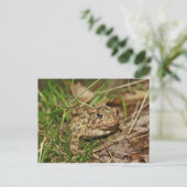 Toad in Gras Postkarte (Stehend Vorderseite)
