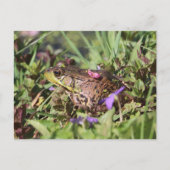 Toad-Liebe Postkarte (Vorderseite)