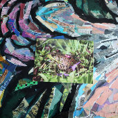 Toad-Liebe Postkarte