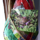 Toad-Liebe Postkarte