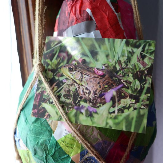 Toad-Liebe Postkarte