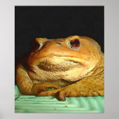 Toad mit philosophischer Disposition Malerei Poster (Vorne)