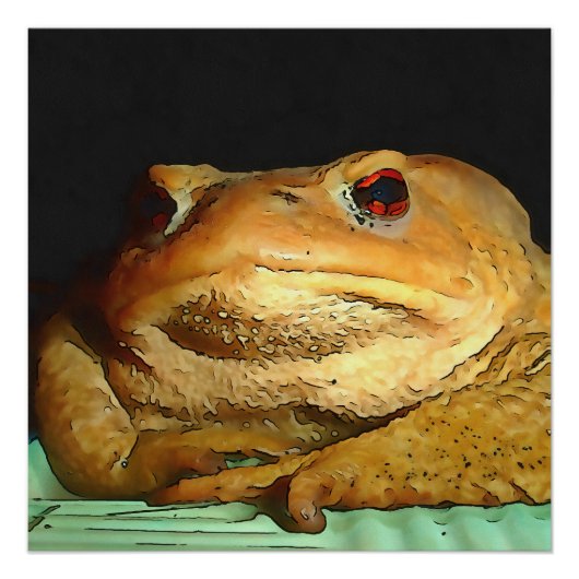 Toad mit philosophischer Disposition Malerei Poster (Vorderseite)