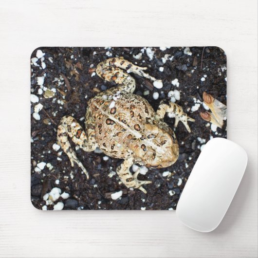 Toad Mousepad (Mit Mouse)