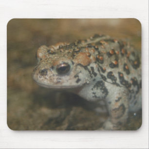 Toad Mousepad