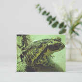 Toad Postkarte (Stehend Vorderseite)