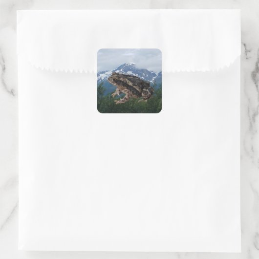 Toad Quadratischer Aufkleber (Tasche)