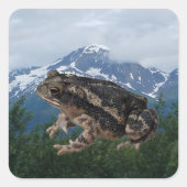 Toad Quadratischer Aufkleber (Vorderseite)