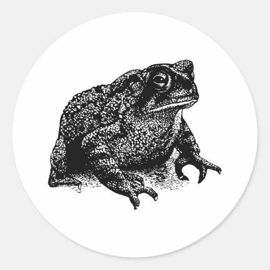 Toad Runder Aufkleber (Vorderseite)