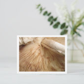 Toad-Stuhl-Postkarte Postkarte (Stehend Vorderseite)