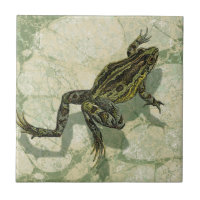 Toad Swinning im Wasser