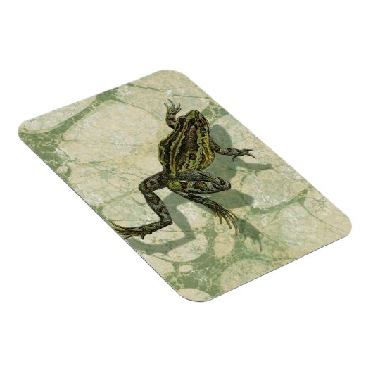 Toad Swinning im Wasser Magnet (Rechte Seite)