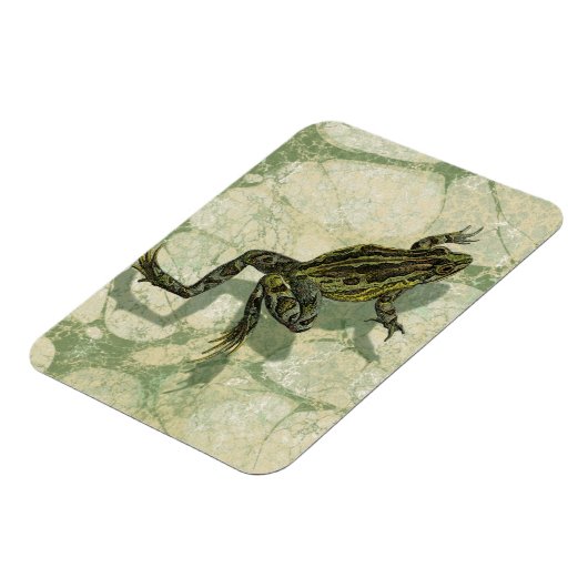 Toad Swinning im Wasser Magnet (Linke Seite)