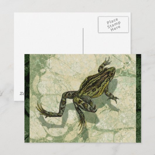 Toad Swinning im Wasser Postkarte (Vorne/Hinten)