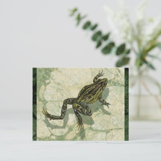 Toad Swinning im Wasser Postkarte (Stehend Vorderseite)