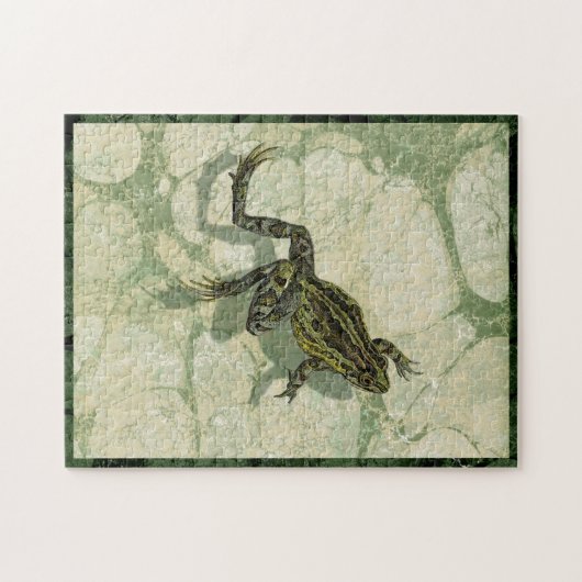 Toad Swinning im Wasser Puzzle (Horizontal)