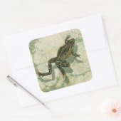 Toad Swinning im Wasser Quadratischer Aufkleber (Umschlag)