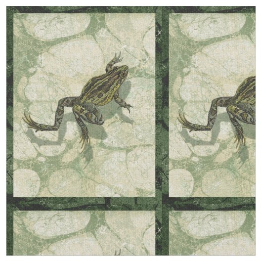 Toad Swinning im Wasser Stoff (Nahaufnahme)