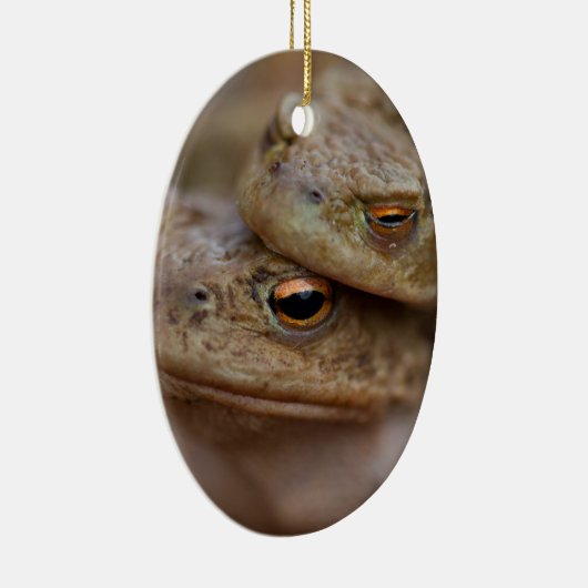 Toad "The Ugly Couple" Ornament (Rechts)