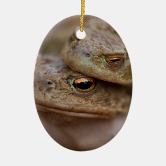 Toad "The Ugly Couple" Ornament (Vorne)