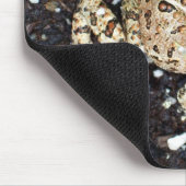 Toad Toads Frosch Mousepad (Ecke)