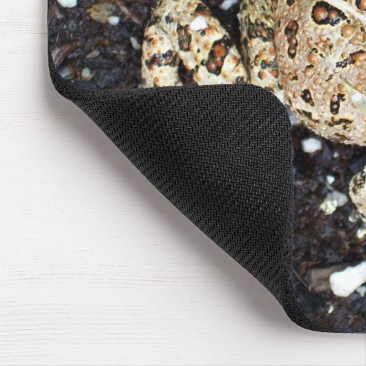 Toad Toads Frosch Mousepad (Ecke)