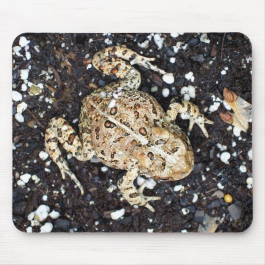 Toad Toads Frosch Mousepad (Vorne)