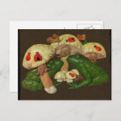 Toad & Toadstocker Postkarte (Vorne/Hinten)