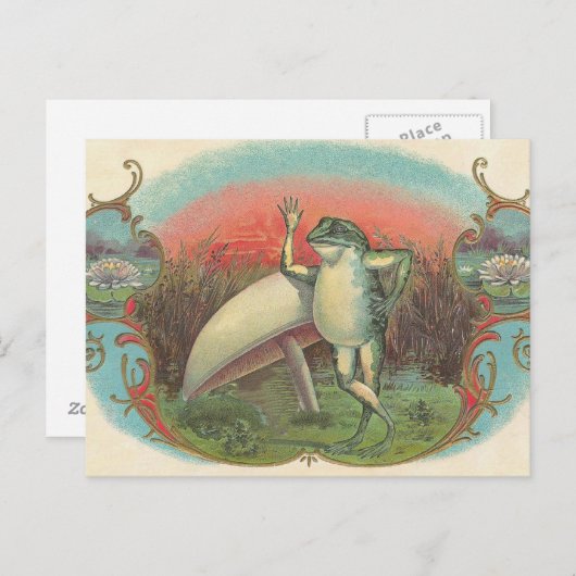 Toad und Mushroom Postkarte (Vorne/Hinten)