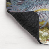 Toadfish, der uns betrachtet mousepad (Ecke)