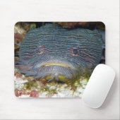 Toadfish, der uns betrachtet mousepad (Mit Mouse)