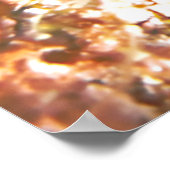 Toadfish im Verstecken Poster (Ecke)