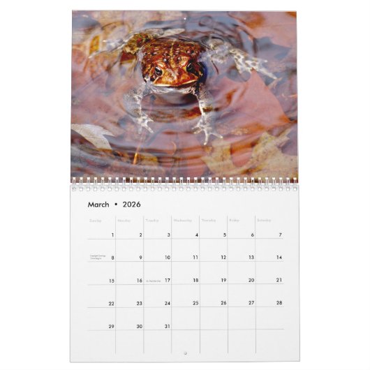 Toadgasmus Kalender (Mär 2026)