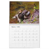 Toadgasmus Kalender (Feb 2026)