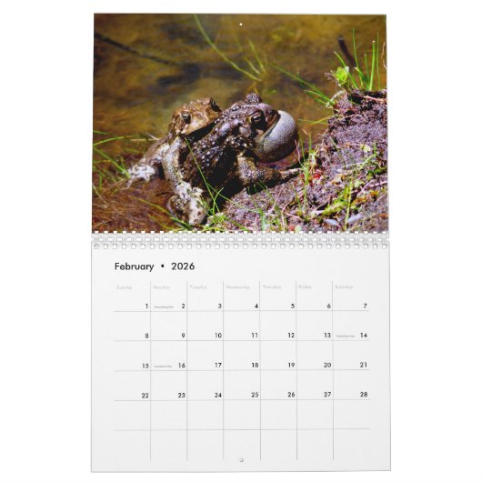 Toadgasmus Kalender (Feb 2026)