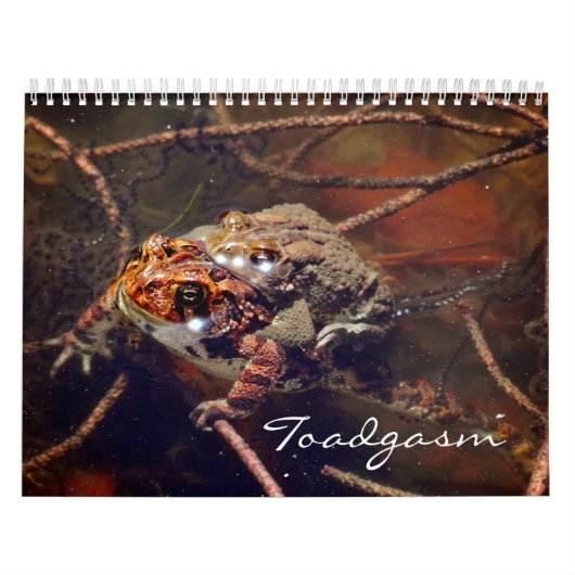 Toadgasmus Kalender (Titelbild)