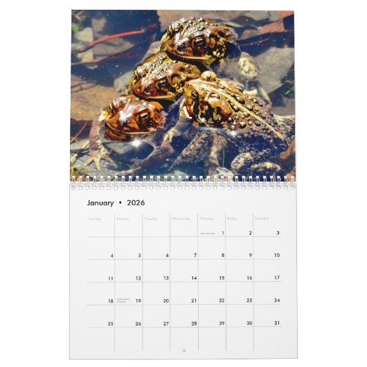 Toadgasmus Kalender (Jan 2026)